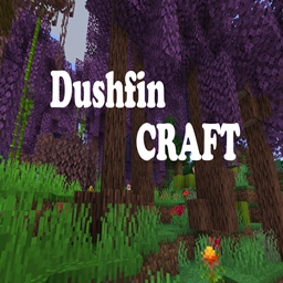 DushfinCraft logo