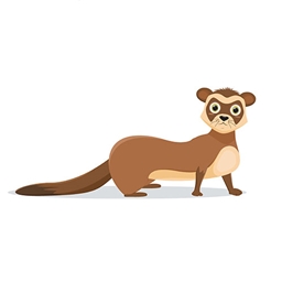 cacaraco