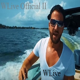 WLive Zoooom project image