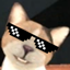 GravityCat nip Pack logo