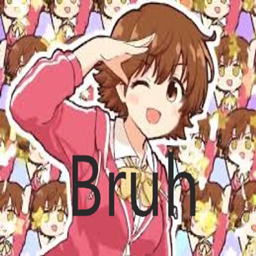 The Official Bruh Gang Modpack logo