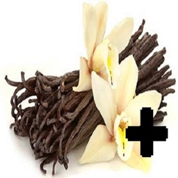 Expanded Vanilla logo