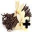 Expanded Vanilla logo