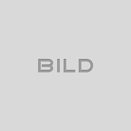 MegaMod logo