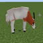 Coveted Mobs logo
