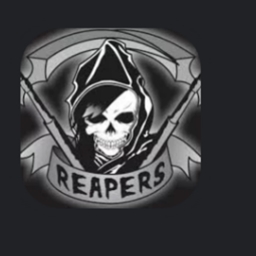 The 117th Reapers Gaming Modpack logo