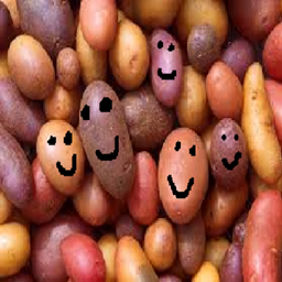 SpudBudsFunTime