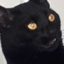 SiMP Official Modpack logo