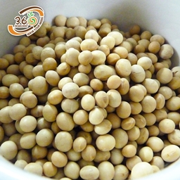 Tekkit Soyabean edition project image