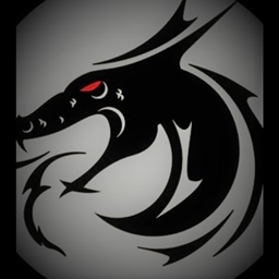 Budget Skyrim logo