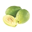 Large Guava logo