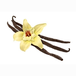Vanilla Organic project image