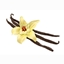 Vanilla Organic logo
