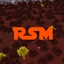 David's Random Stuff Mod logo