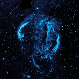 Buoyancy logo