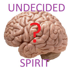 Undecided spirit