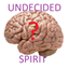 Undecided spirit logo