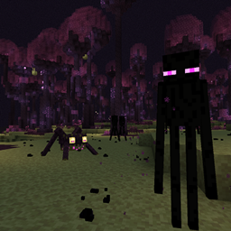 mVerse project image