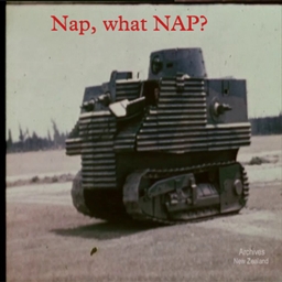 NAP project image