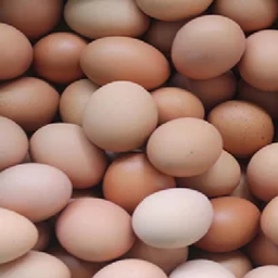 Eggys modpack