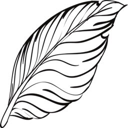 FlavoredVanilla logo