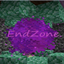 EndZone logo