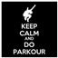 Endless Parkour logo