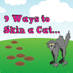 9 Ways To Skin A Cat project image