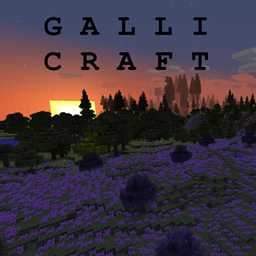 GalliCraft project image