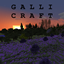 GalliCraft logo