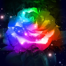 Rose Craft Official Pack project image