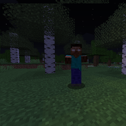 Herobrine Sightings project image