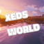 XEDs world logo