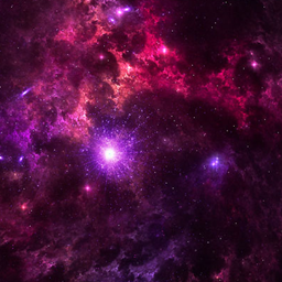 Explorers Paradise