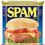 Spam mod logo