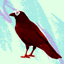 Crorad's BirbCraft logo