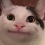 Gaming Loser's Fun Modpack logo