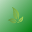 Mysterious Botanicals logo