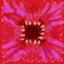 Colossus logo