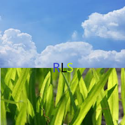 RLS project image
