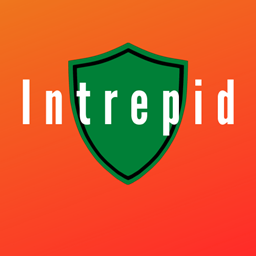 Intrepid project image