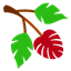 Server Essentials logo