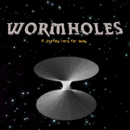 Wormholes project image