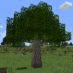Dynamic Trees - Forestry