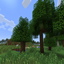 Crazy Hearts Survival logo
