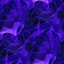 Purple Holiday logo