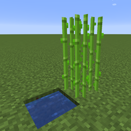 Crop-Like Sugar Cane logo