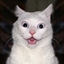 Catpack Epic logo