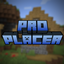 Pro Placer logo