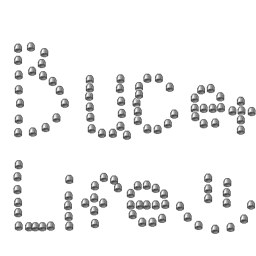 Bucket life logo